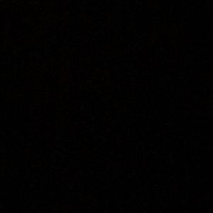 Meet your Posher, Lizzy